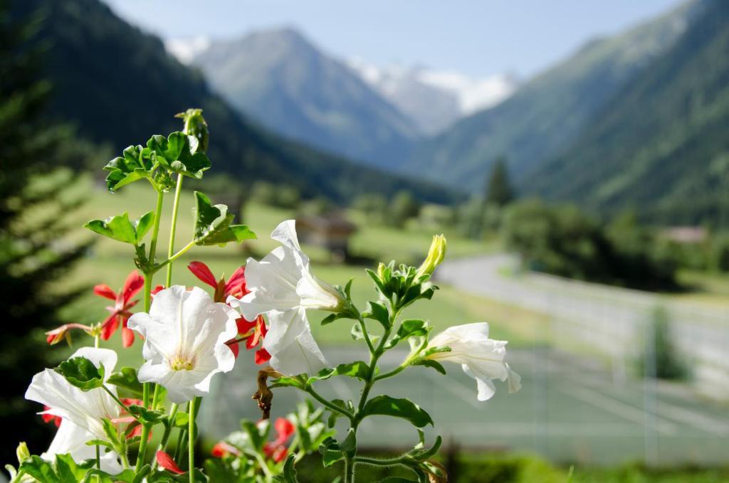 Apart-Pension Wasserfall Neustift im Stubaital Exterior foto